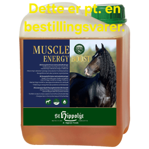 Muscle Energy Boost, 2,5 liter