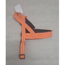 Hundesele Str. 2 (30-50 cm.)