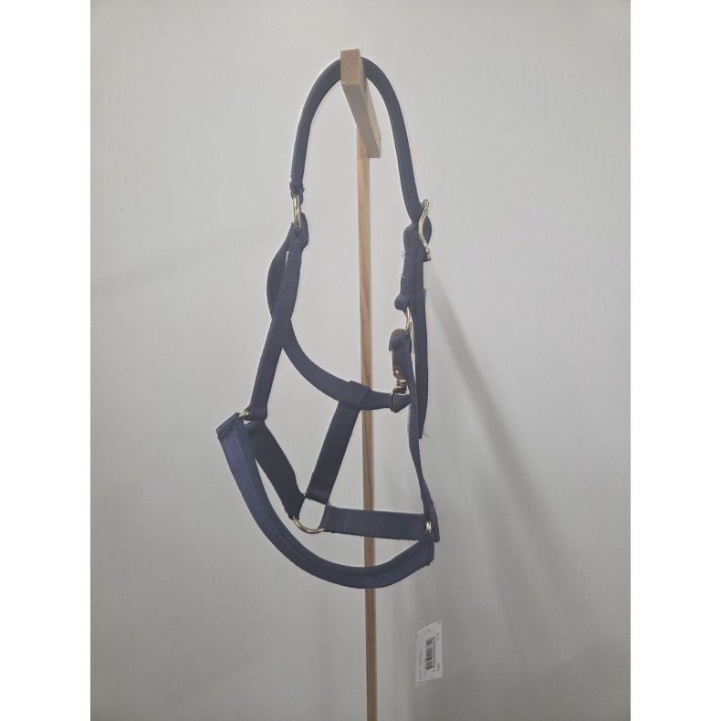 Ny Bucas Grime Str. Pony