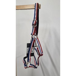 NY HG Grime Str. Pony