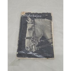 Ridel�re Af M�seler, Wilhelm OBS Mangler Bagsiden