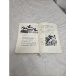 Ridel�re Af M�seler, Wilhelm OBS Mangler Bagsiden