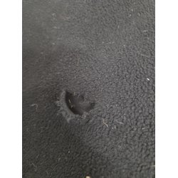 Catago Fleeced�kken Med Broderi Str. 155 OBS Har Lidt Misfarvninger Samt Et Lille Hul Se Billeder