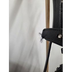 Trense Str. Cob OBS Mangler Lidt Sten og Stenb�ndet Er G�et L�s I Pandeb�ndet Se Billeder