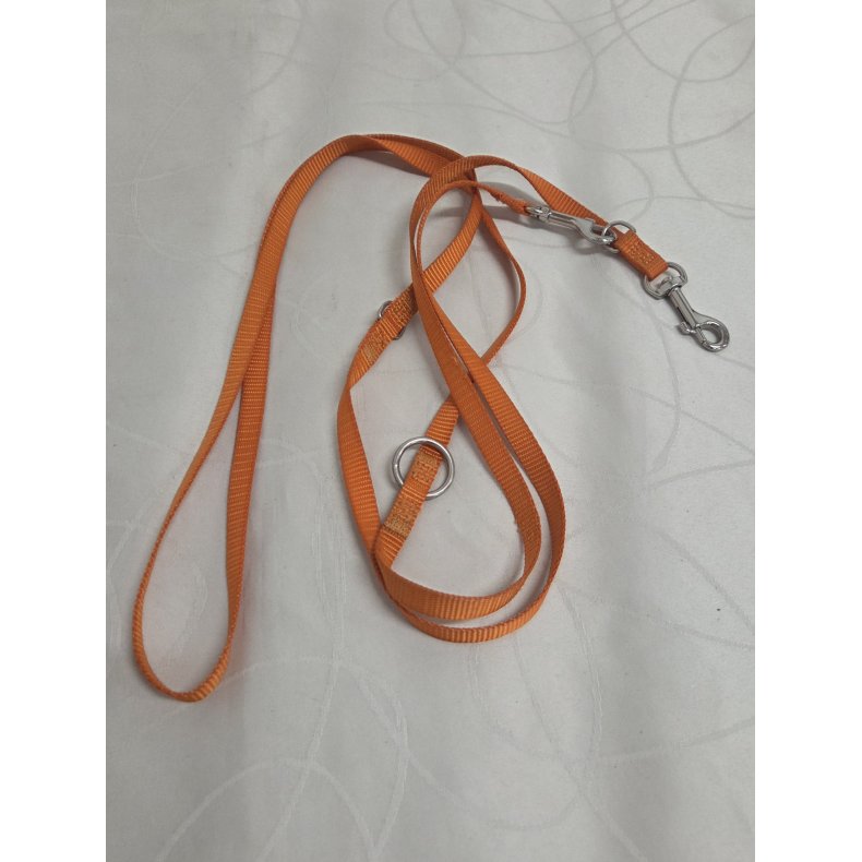 Orange Hundesnor