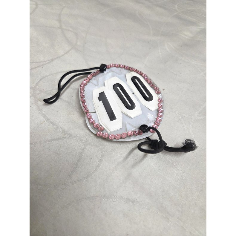 St�vnenummer med Lyser�desten