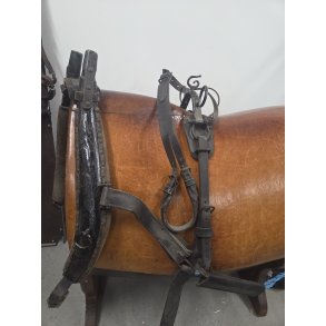 K�rerselet�j Str. pony - cob