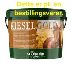 Kieselgold 10 Kg.