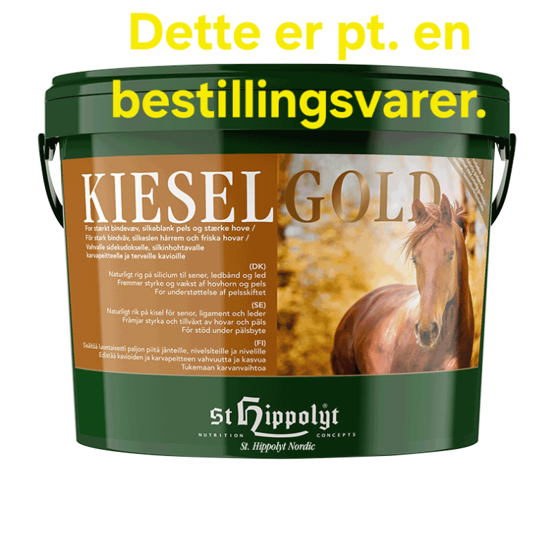 Kieselgold 10 Kg.