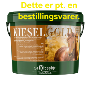 Kieselgold 4 Kg.