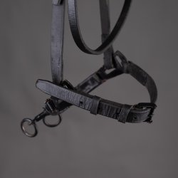 Kapsun m/Bjle Cob/Full