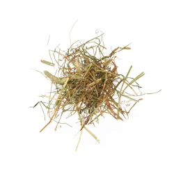 AGROBS AlpenHeu 12,5 Kg.