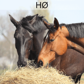 Grovfoderanalyse � h�