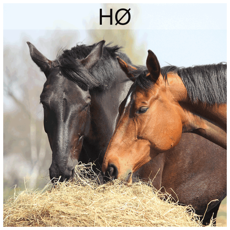 Grovfoderanalyse � h�