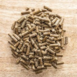 High Performer 10 Kg.