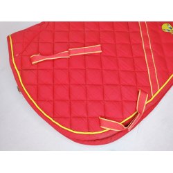 Looney tunes kombi underlag str Pony i rd med Tweety, pn stand