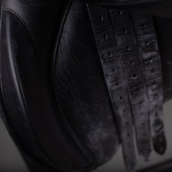 Bates Caprilli Kombi smal 17"