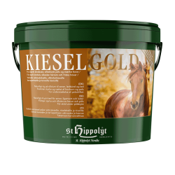 Kieselgold 4 Kg.