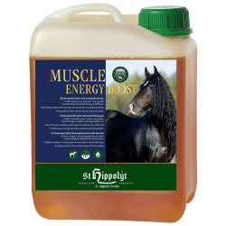 Muscle Energy Boost, 2,5 liter