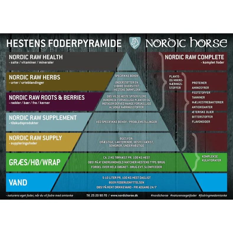 Nordic Hestens Foderpyramide Plakat 70x50 Cm.