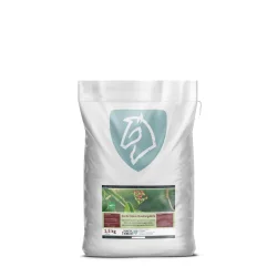 Nordic Cissus Quadrangularis 1,5 Kg. Refill