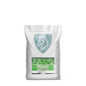 Nordic Pebermynte 1 Kg.