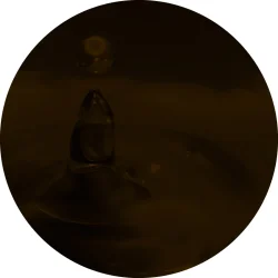 Nordic Sortkommenolie 5 L.