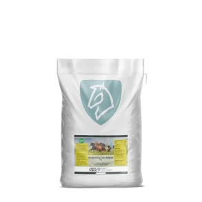 Nordic Strong Clean 3 Kg. Refill
