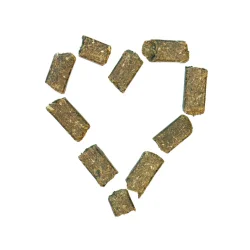 AGROBS WiesenBussi 1 Kg.