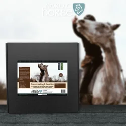 Nordic Stormonts Bag &amp; Treat Box - Kaffe farvet Taske