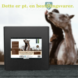 Nordic Stormonts Bag &amp; Treat Box - Bl� Taske