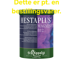 Hesta Plus Magnesium B12, 1 kg