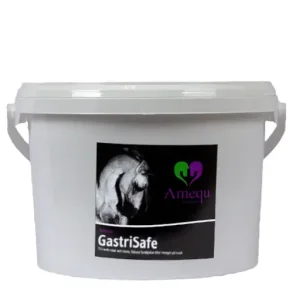 Amequ GastriSafe Lecithin 2,8 Kg