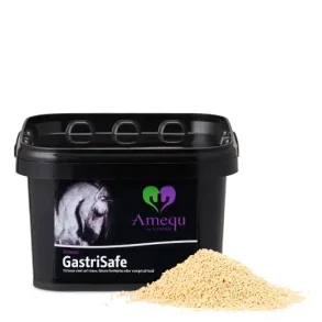 Amequ GastriSafe Lecithin 1,5 Kg