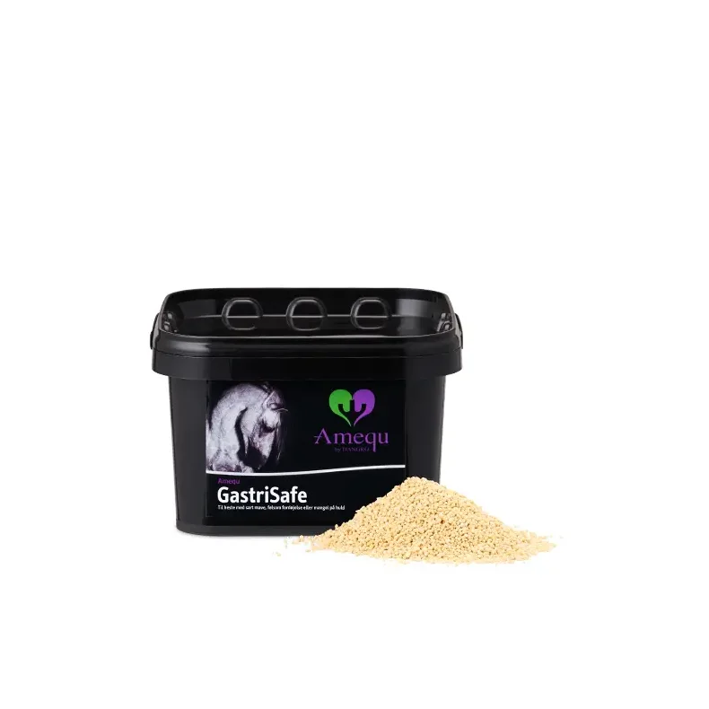 Amequ GastriSafe Lecithin 1,5 Kg