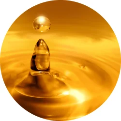 Nordic H�rfr�olie 5 L.