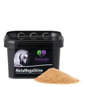 Amequ MetaMegaShine 1 Kg.