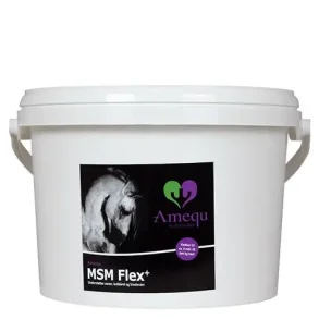 Amequ MSM Flex+ 5 Kg.